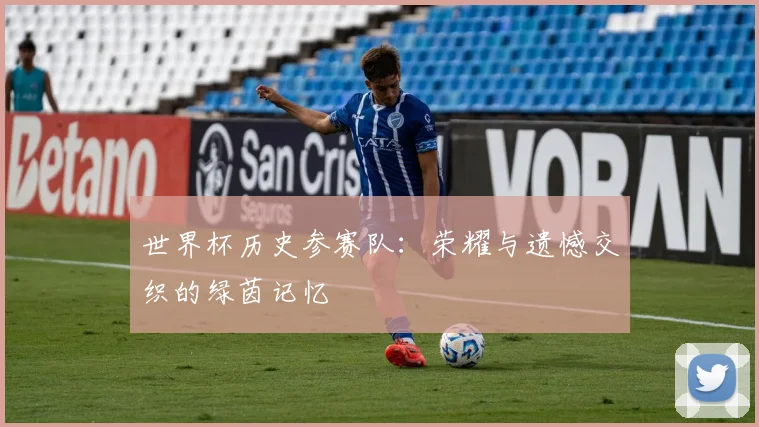 世界杯历史参赛队：荣耀与遗憾交织的绿茵记忆