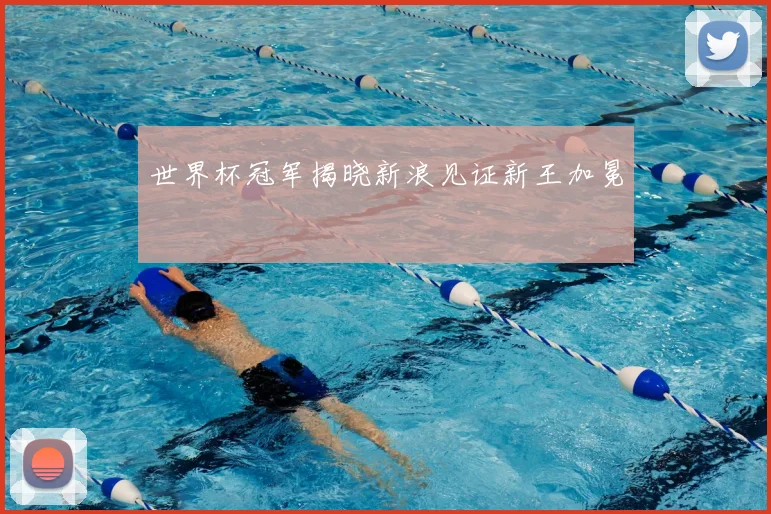 世界杯冠军揭晓新浪见证新王加冕