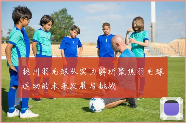 杭州羽毛球队实力解析聚焦羽毛球运动的未来发展与挑战