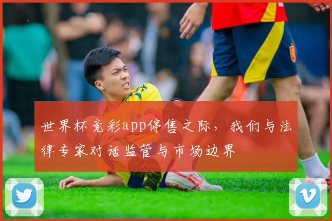 世界杯竞彩app停售之际，我们与法律专家对话监管与市场边界