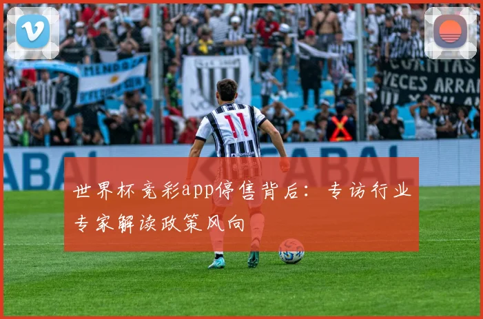 世界杯竞彩app停售背后:专访行业专家解读政策风向