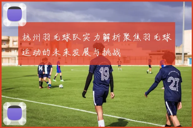 杭州羽毛球队实力解析聚焦羽毛球运动的未来发展与挑战