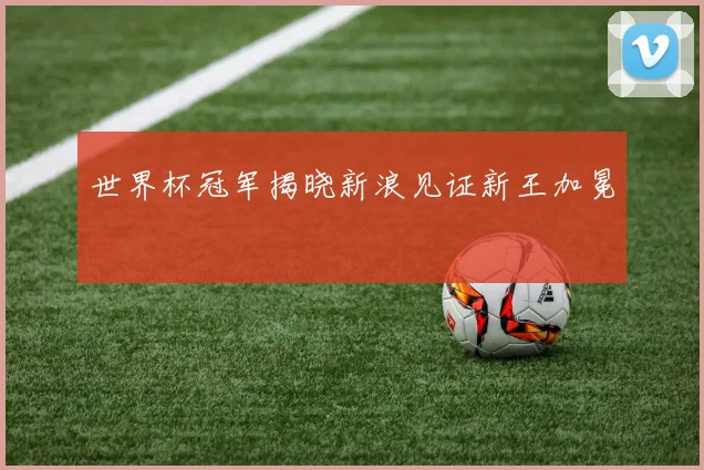 世界杯冠军揭晓新浪见证新王加冕