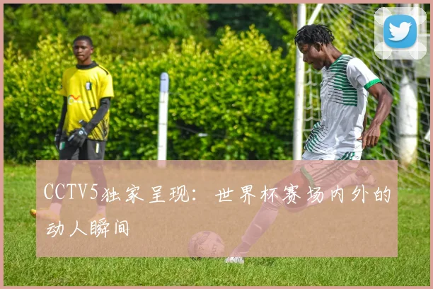 CCTV5独家呈现：世界杯赛场内外的动人瞬间