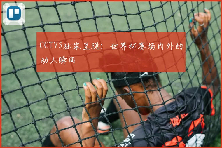 CCTV5独家呈现：世界杯赛场内外的动人瞬间