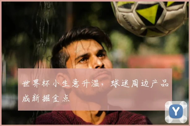 世界杯小生意升温，球迷周边产品成新掘金点