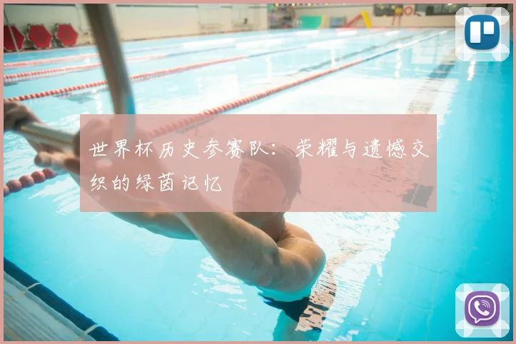 世界杯历史参赛队：荣耀与遗憾交织的绿茵记忆