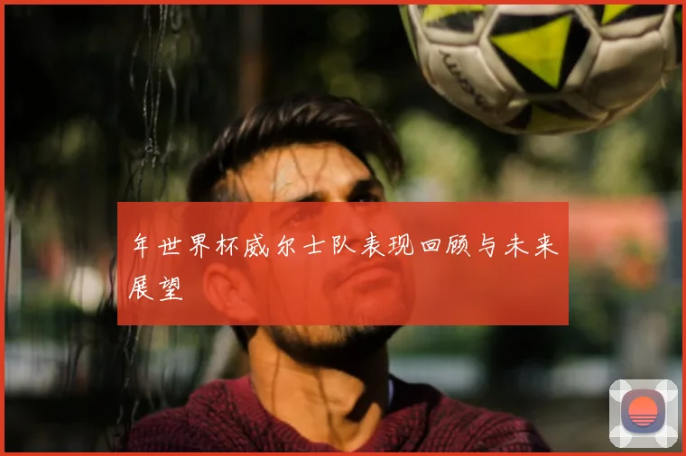年世界杯威尔士队表现回顾与未来展望