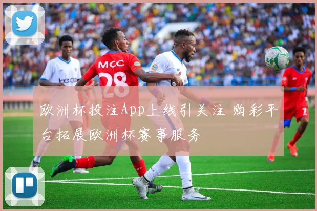 欧洲杯投注App上线引关注 购彩平台拓展欧洲杯赛事服务